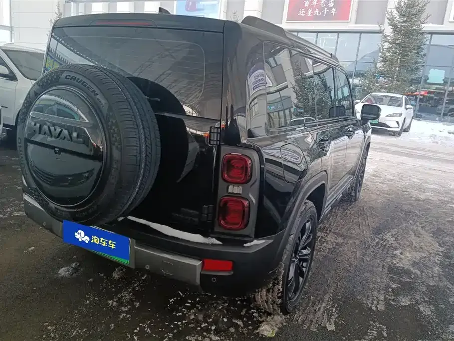 Haval Menglong New Energy 2024 из CN, фото 10
