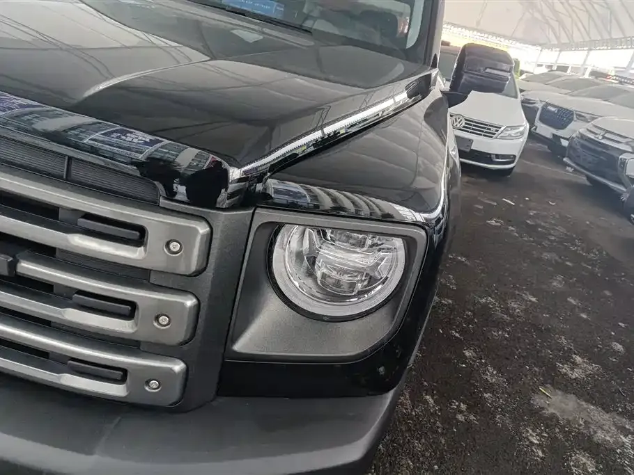 Haval Menglong New Energy 2024 из CN, фото 6