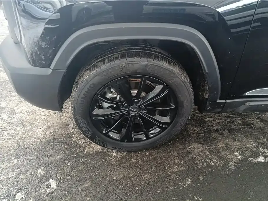 Haval Menglong New Energy 2024 из CN, фото 8
