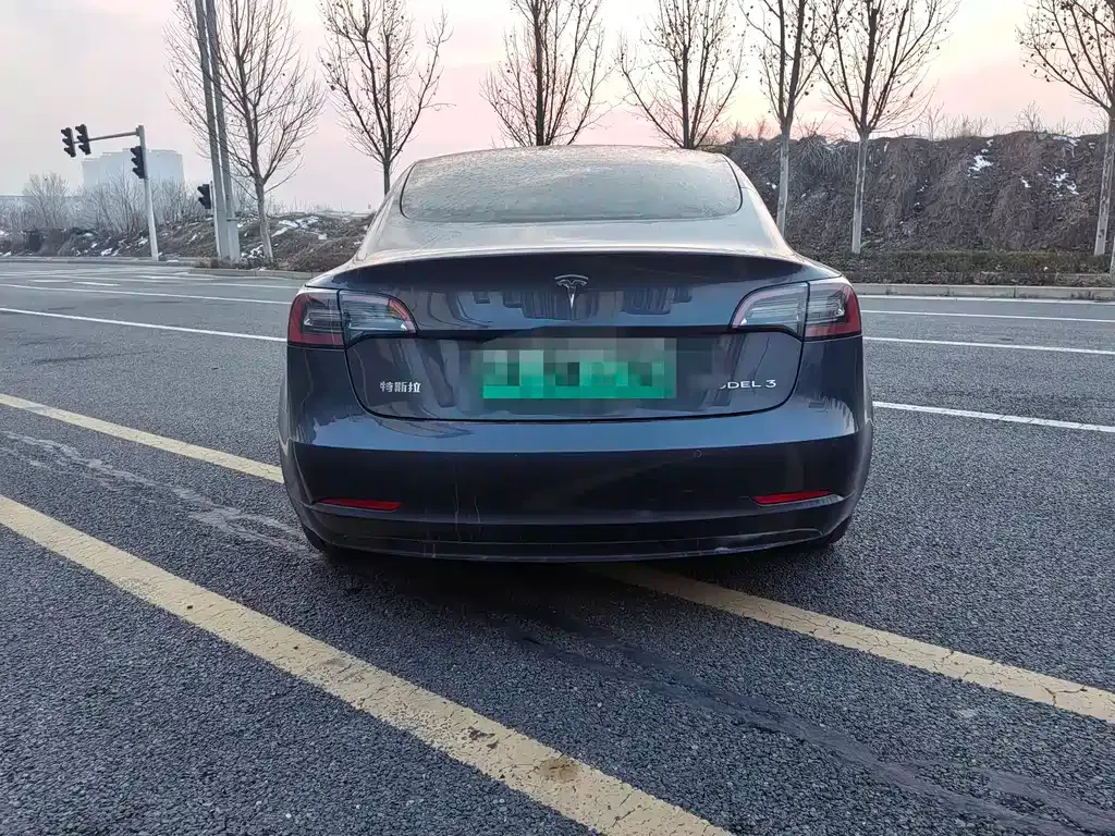 Tesla Model 3 2023 из CN, фото 9