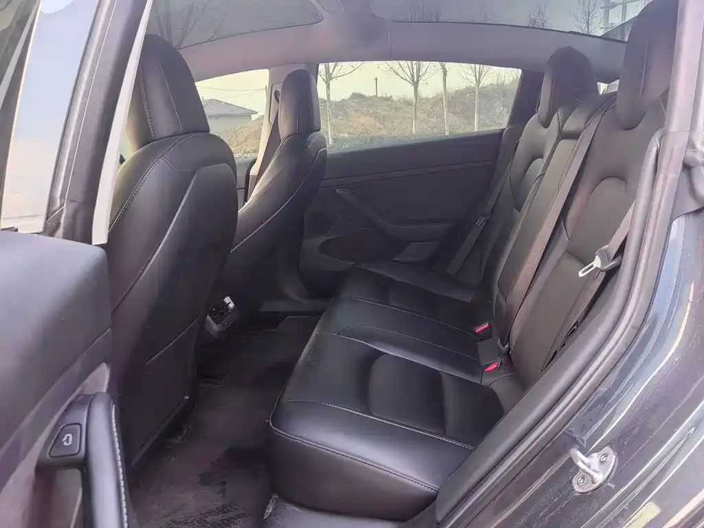 Tesla Model 3 2023 из CN, фото 2
