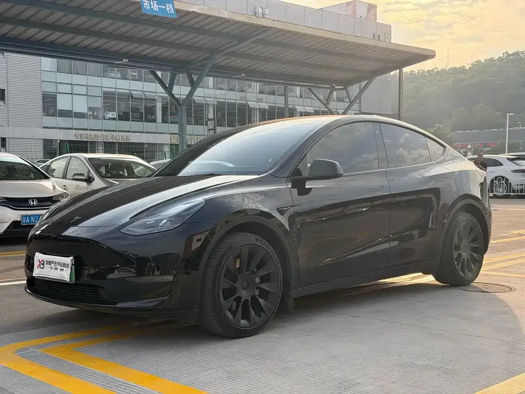 Tesla Model Y 2021 из CN, фото 1