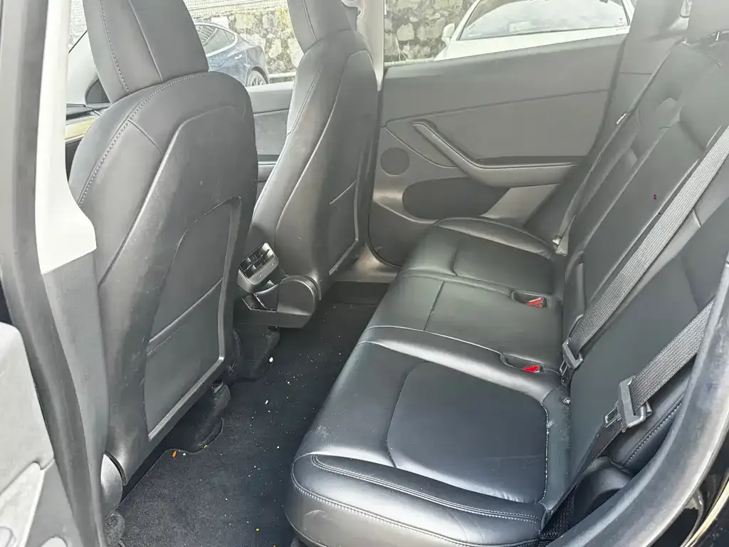 Tesla Model Y 2021 из CN, фото 5