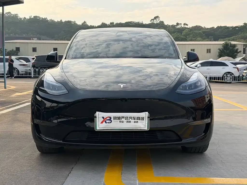 Tesla Model Y 2021 из CN, фото 6