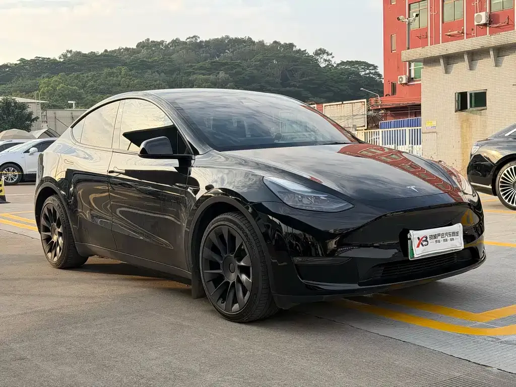 Tesla Model Y 2021 из CN, фото 9