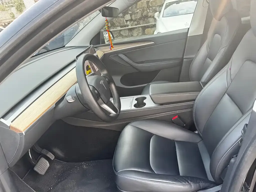 Tesla Model Y 2021 из CN, фото 3