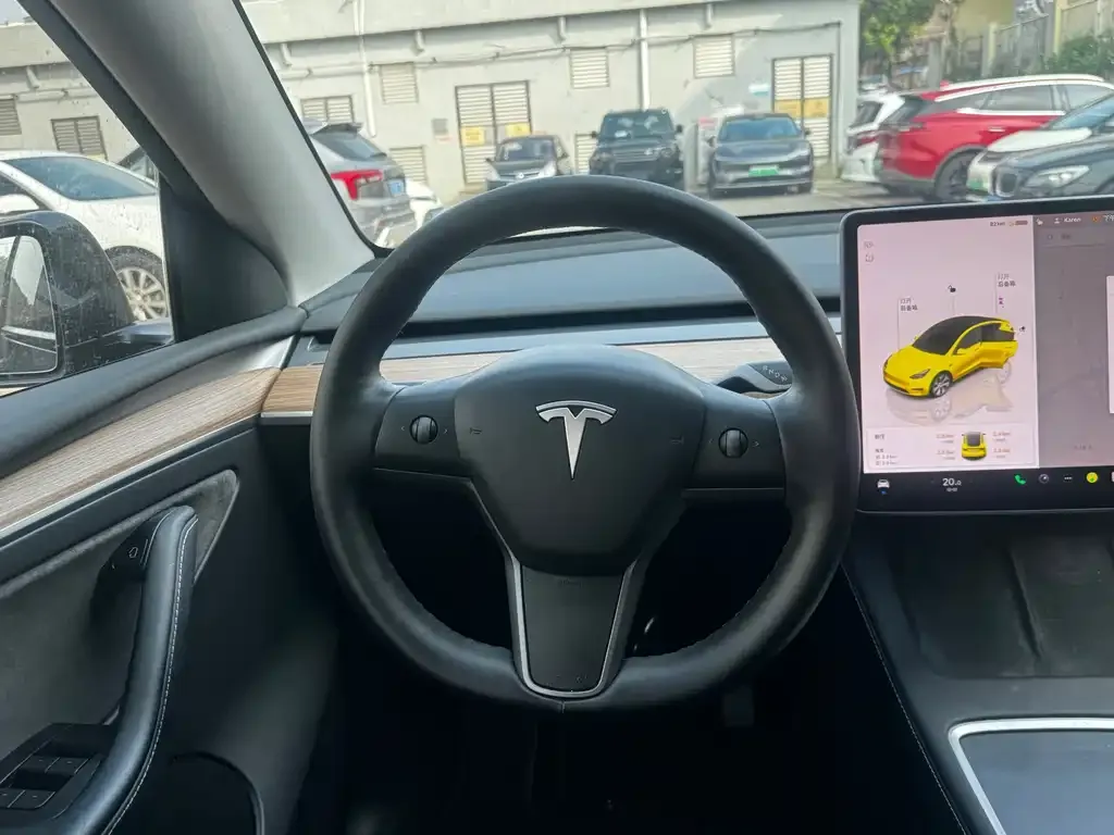 Tesla Model Y 2021 из CN, фото 2