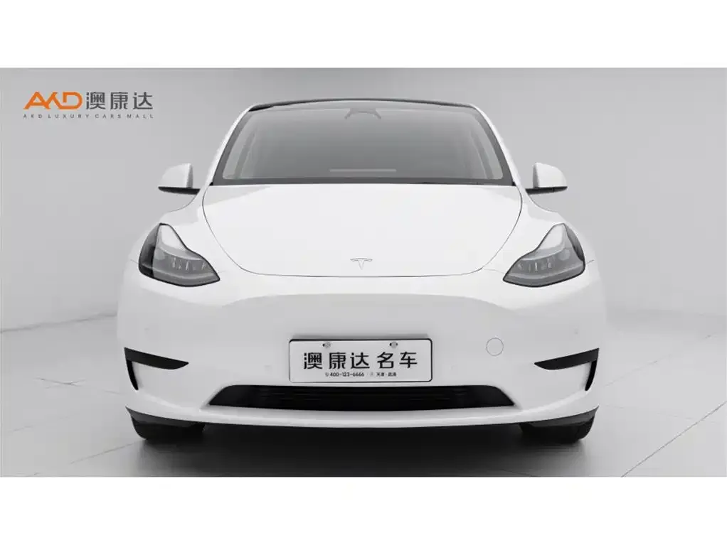 Tesla Model Y — фото 7