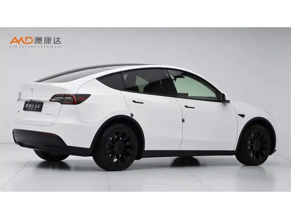 Tesla Model Y — фото 5