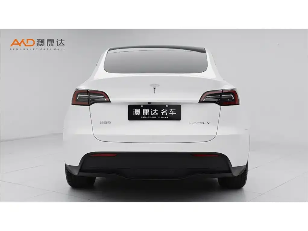 Tesla Model Y — фото 9