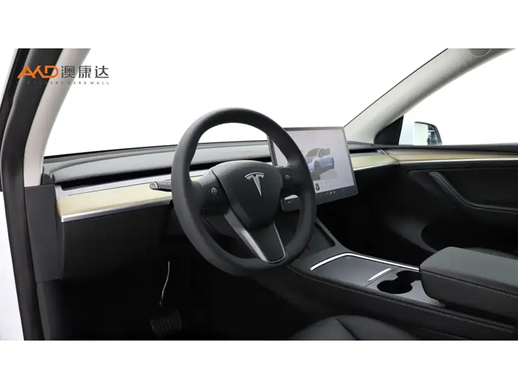 Tesla Model Y — фото 6