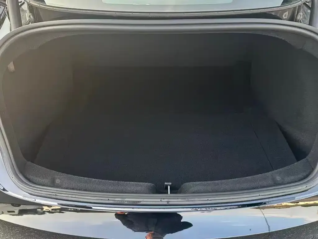 Tesla Model 3 2025 из CN, фото 3