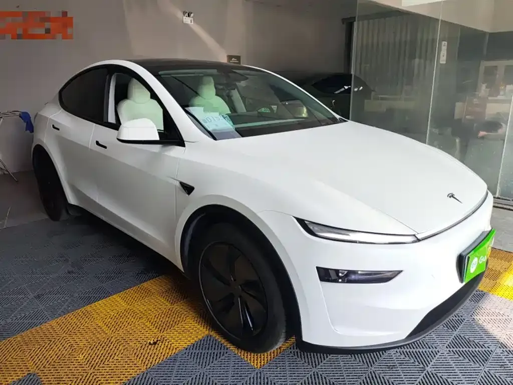 Tesla Model Y — фото 10