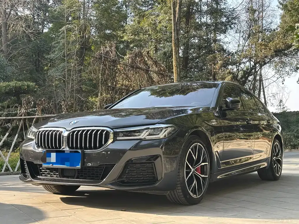BMW 5 Series (Import) 2022 из CN, фото 1