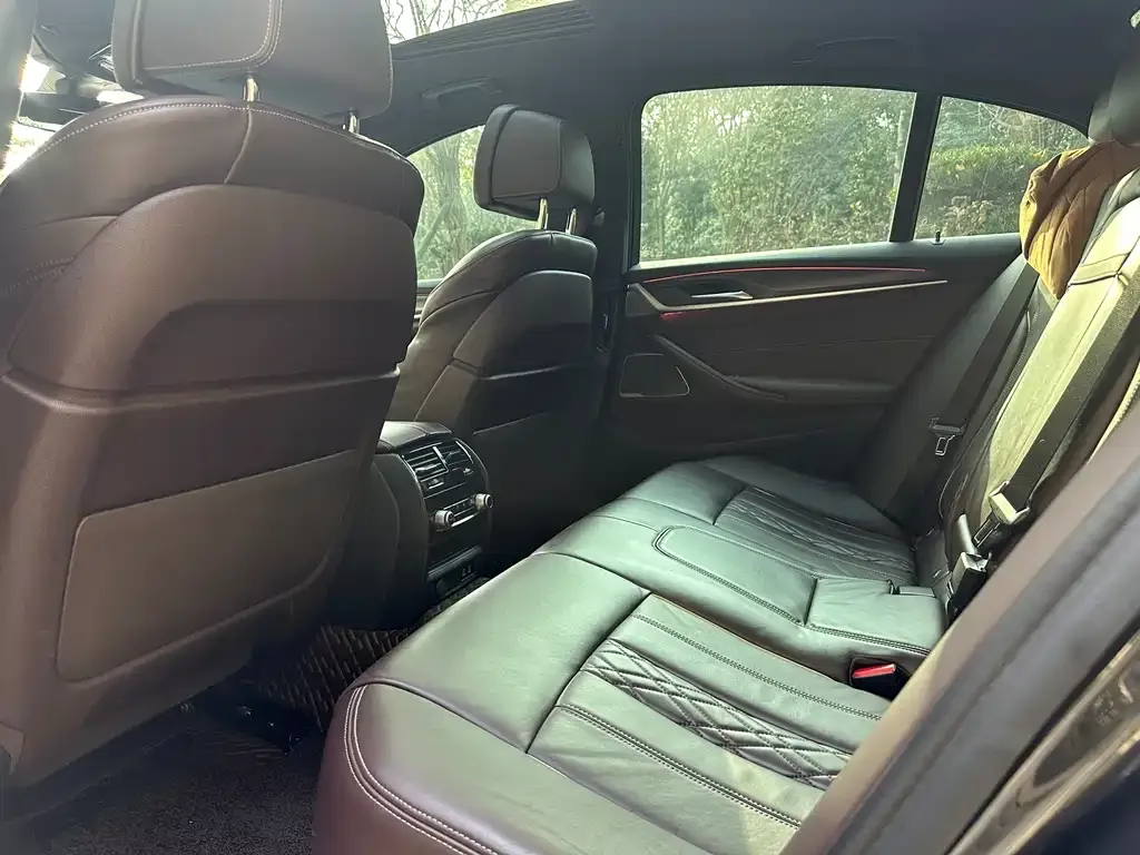 BMW 5 Series (Import) 2022 из CN, фото 8