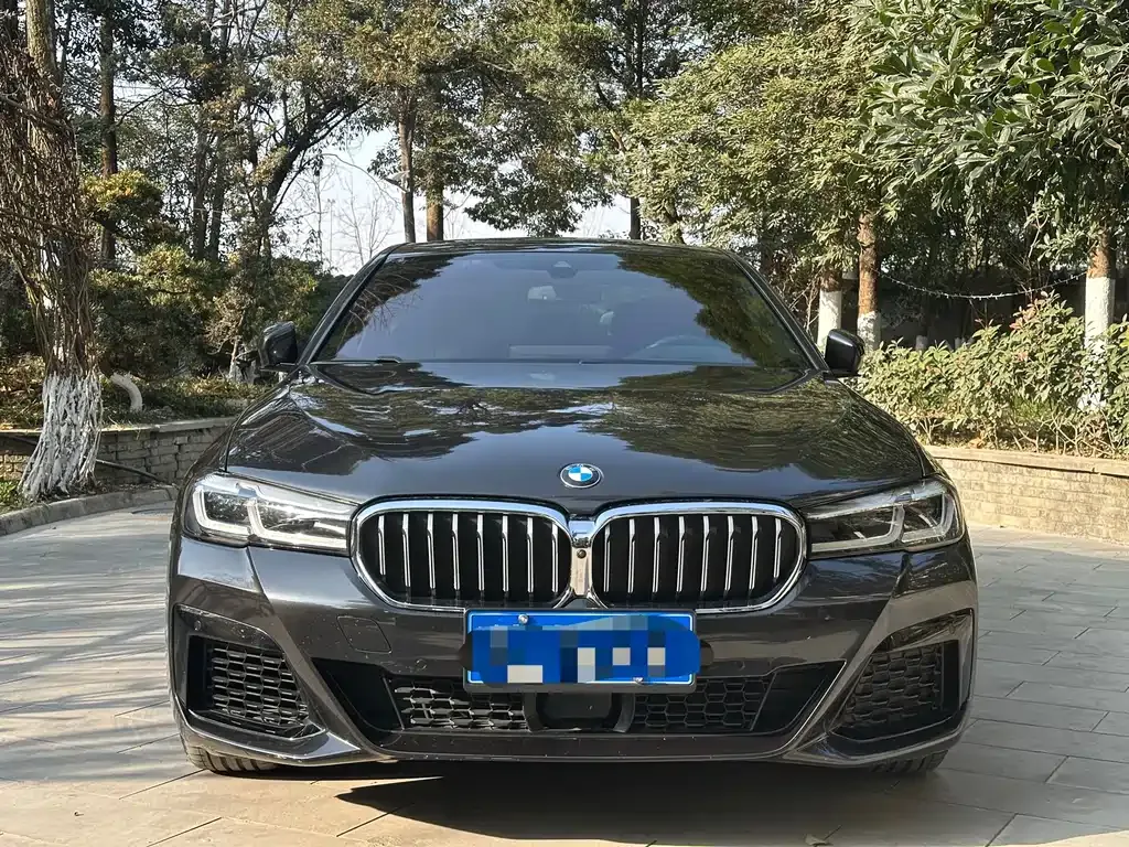 BMW 5 Series (Import) 2022 из CN, фото 2