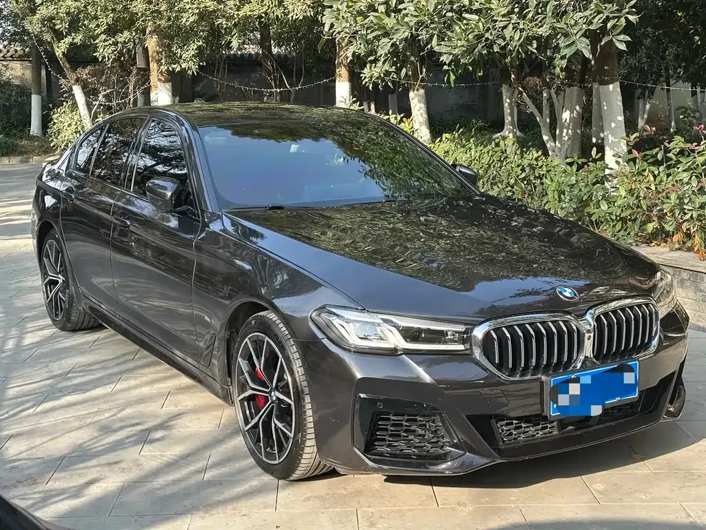 BMW 5 Series (Import) 2022 из CN, фото 4