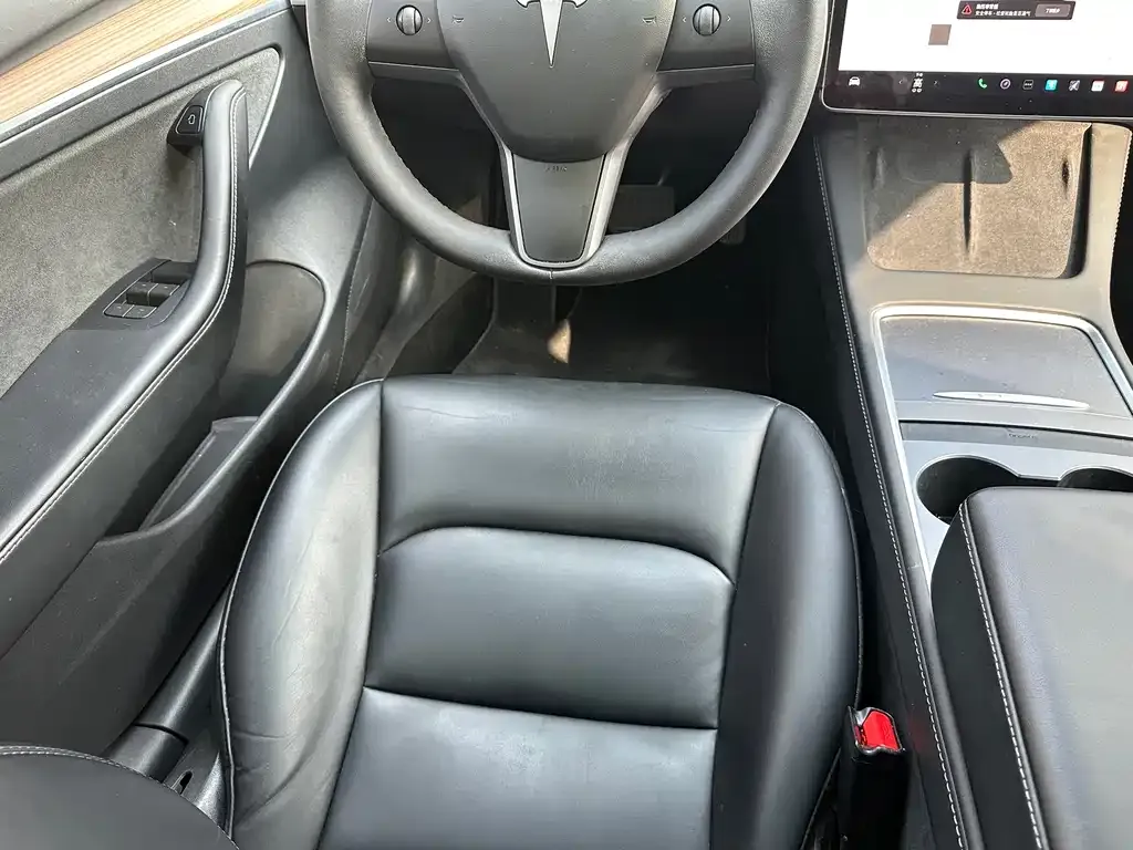 Tesla Model 3 2023 из CN, фото 6