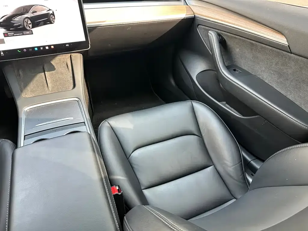 Tesla Model 3 2023 из CN, фото 2