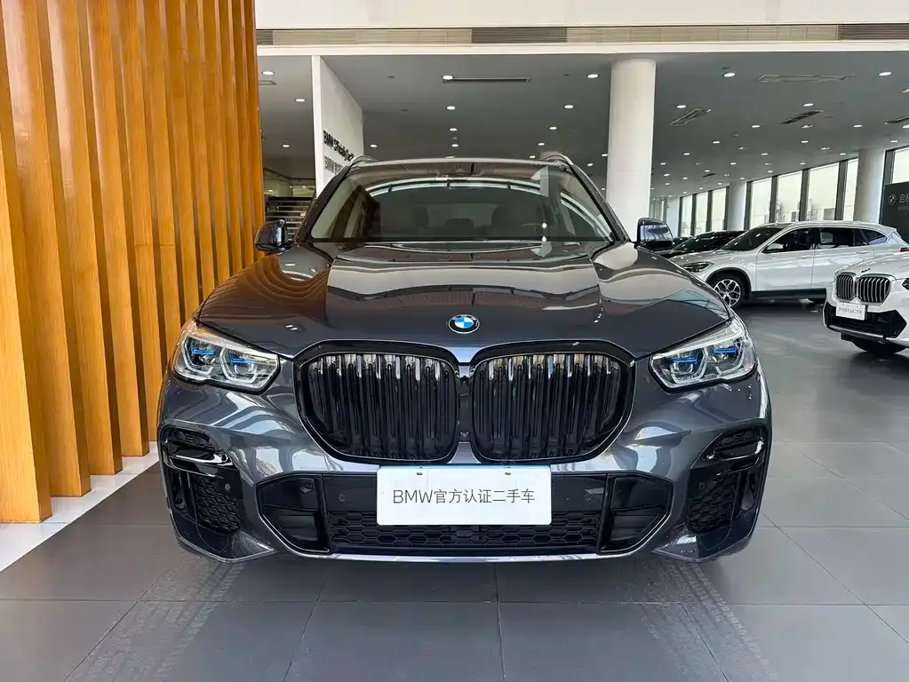 BMW X5 (Import) 2022 из CN, фото 8