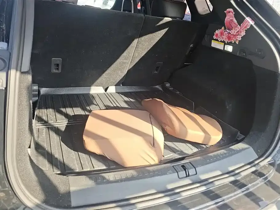 Jetour Dasheng 2023 из CN, фото 9