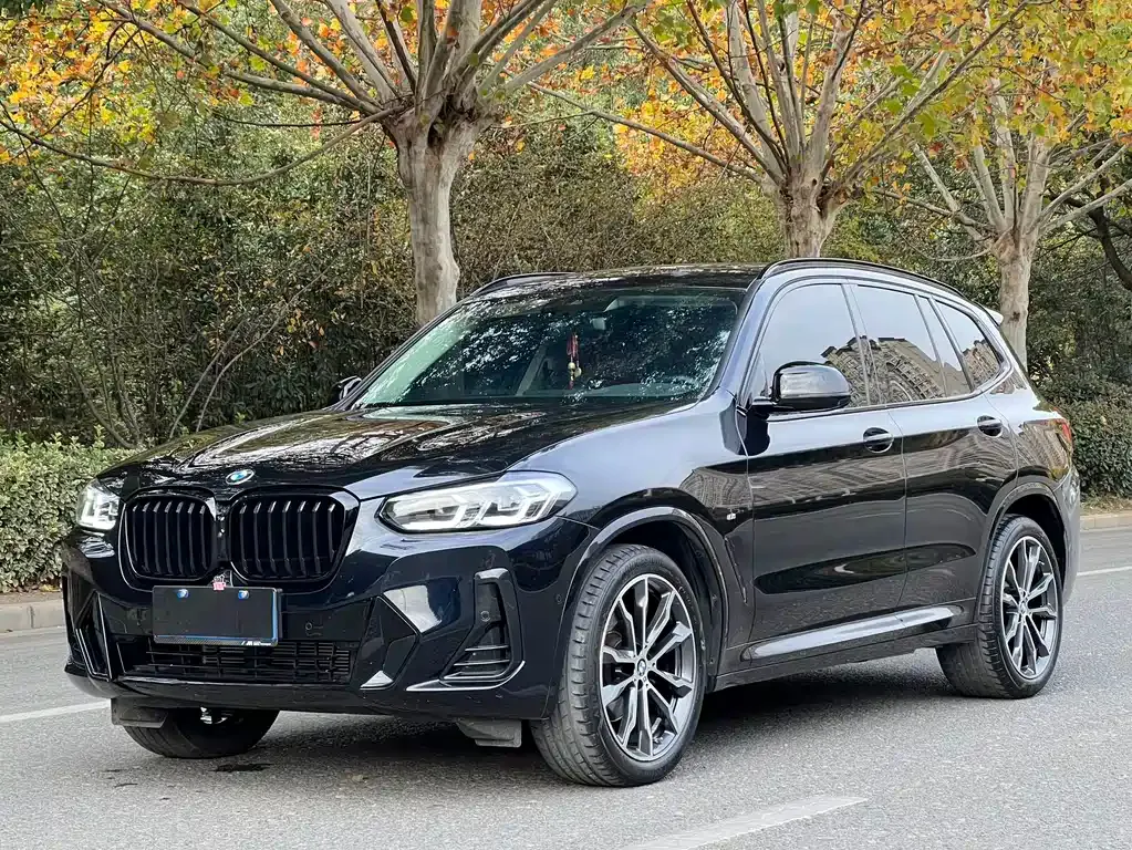 BMW X3 — фото 1
