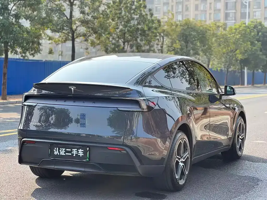 Tesla Model Y 2025 из CN, фото 6