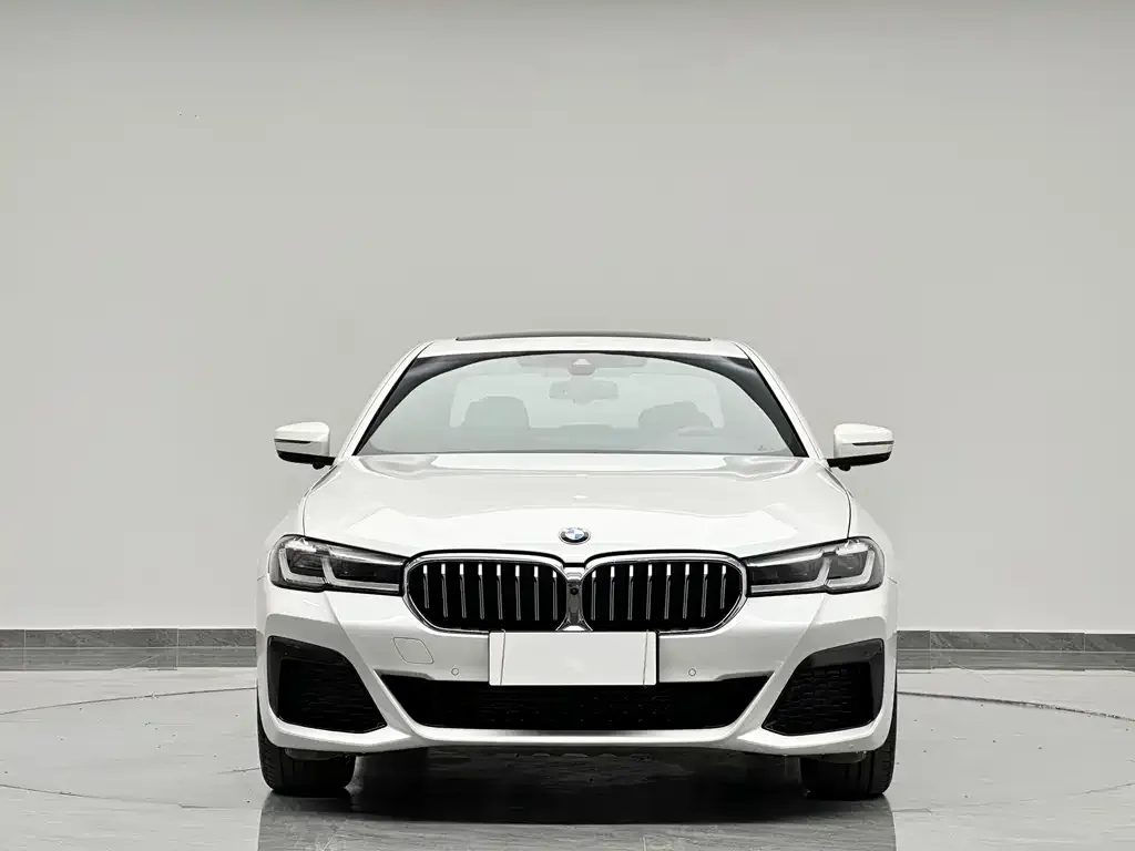BMW 5 Series 2022 из CN, фото 8