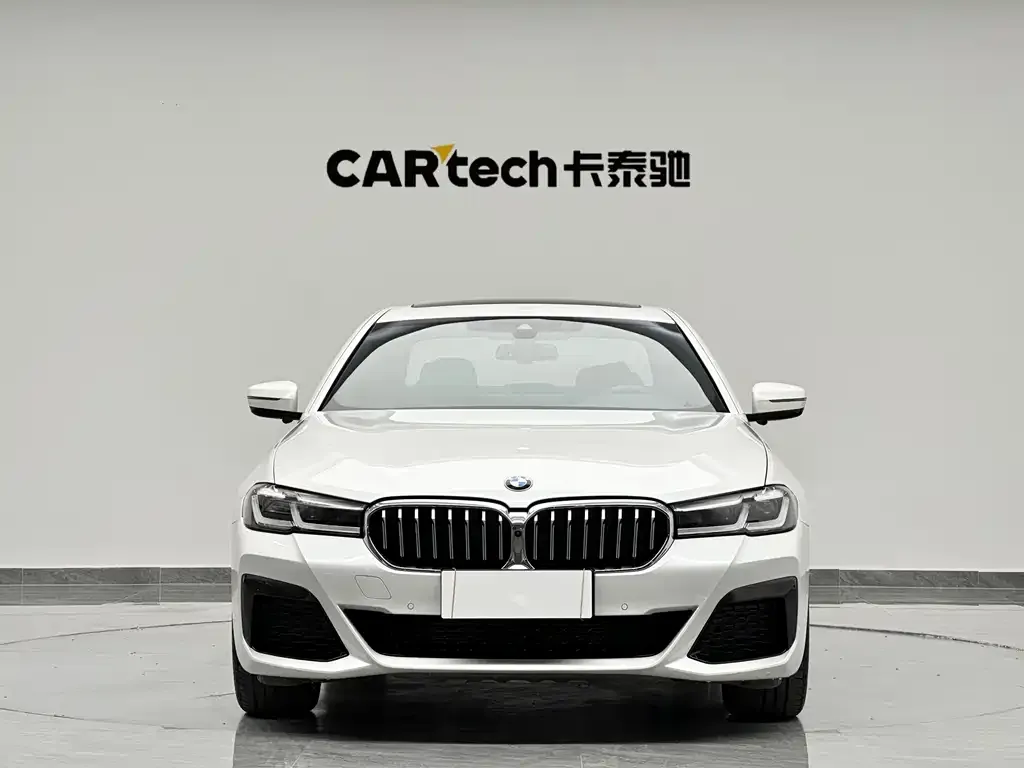 BMW 5 Series 2022 из CN, фото 9