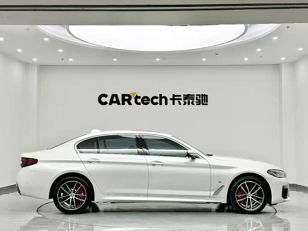 BMW 5 Series 2022 из CN, фото 6