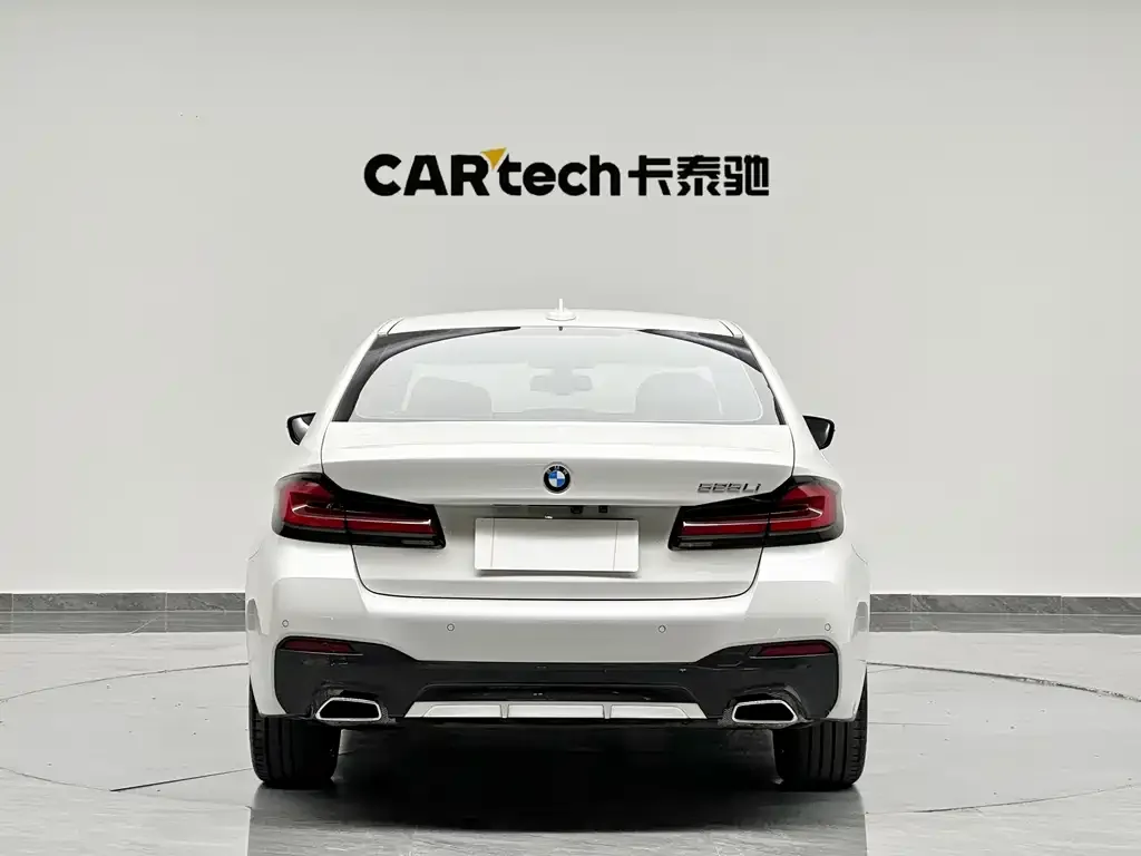 BMW 5 Series 2022 из CN, фото 4