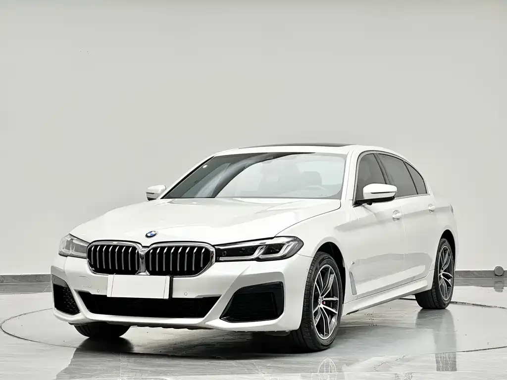 BMW 5 Series 2022 из CN, фото 5