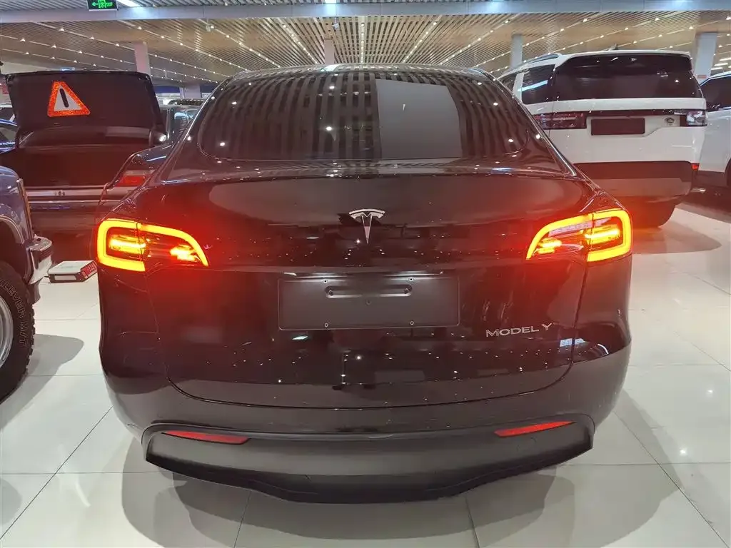 Tesla Model Y 2023 из CN, фото 9