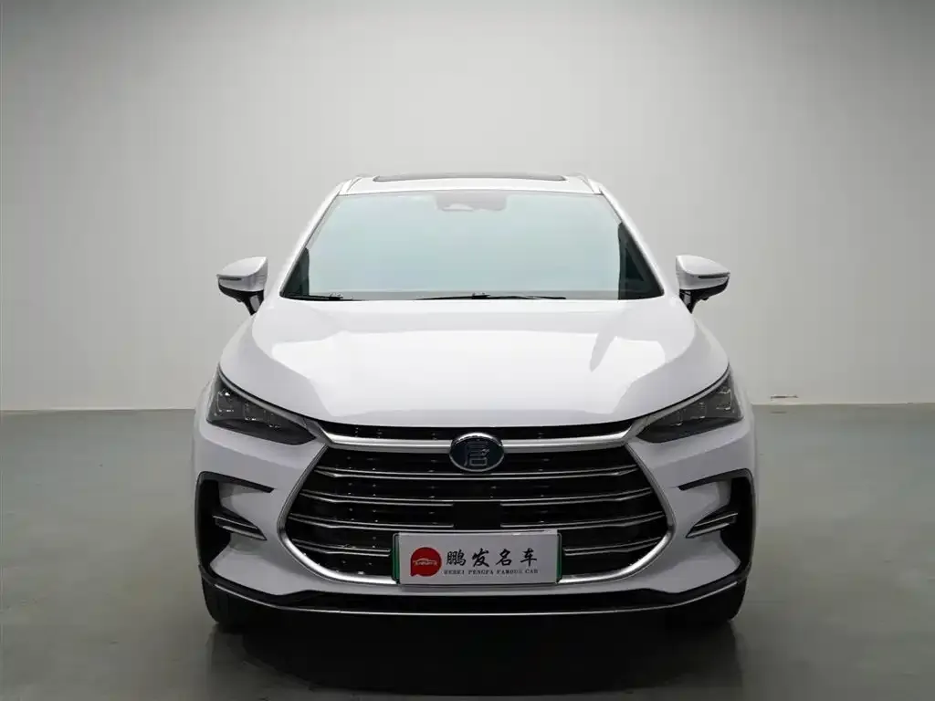 BYD Tang New Energy 2023 из CN, фото 8