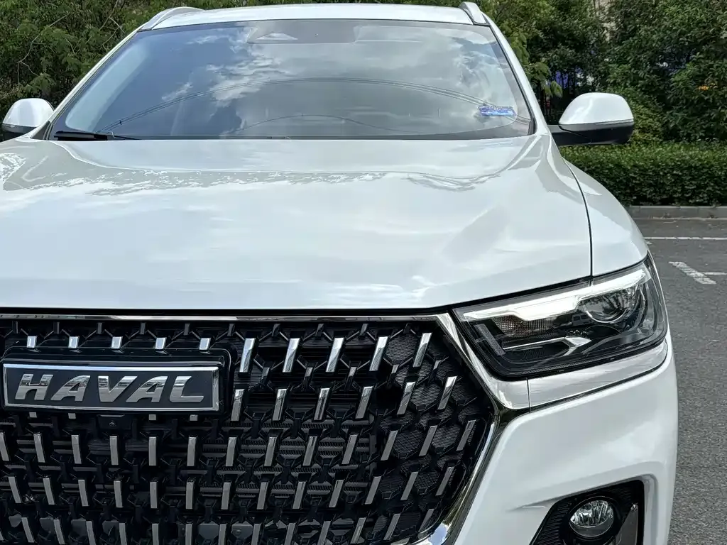 Haval H6 2023 из CN, фото 4