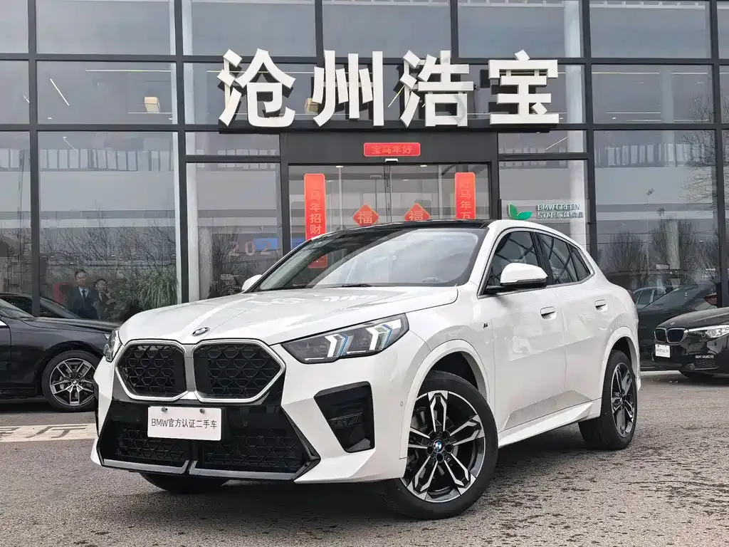 BMW X2 (Import) 2025 из CN, фото 1
