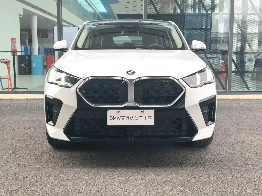 BMW X2 (Import) 2025 из CN, фото 10