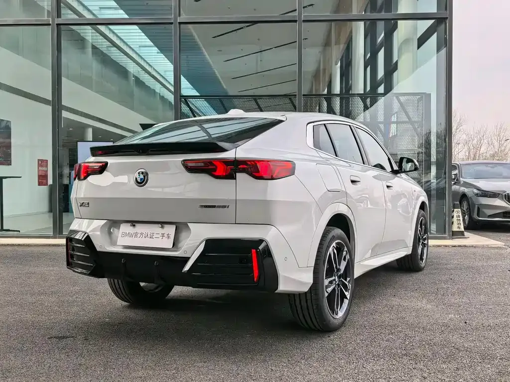 BMW X2 (Import) 2025 из CN, фото 9