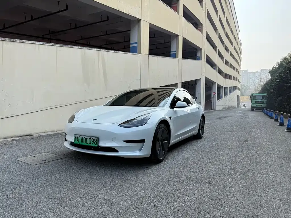 Tesla Model 3 2021 из CN, фото 1