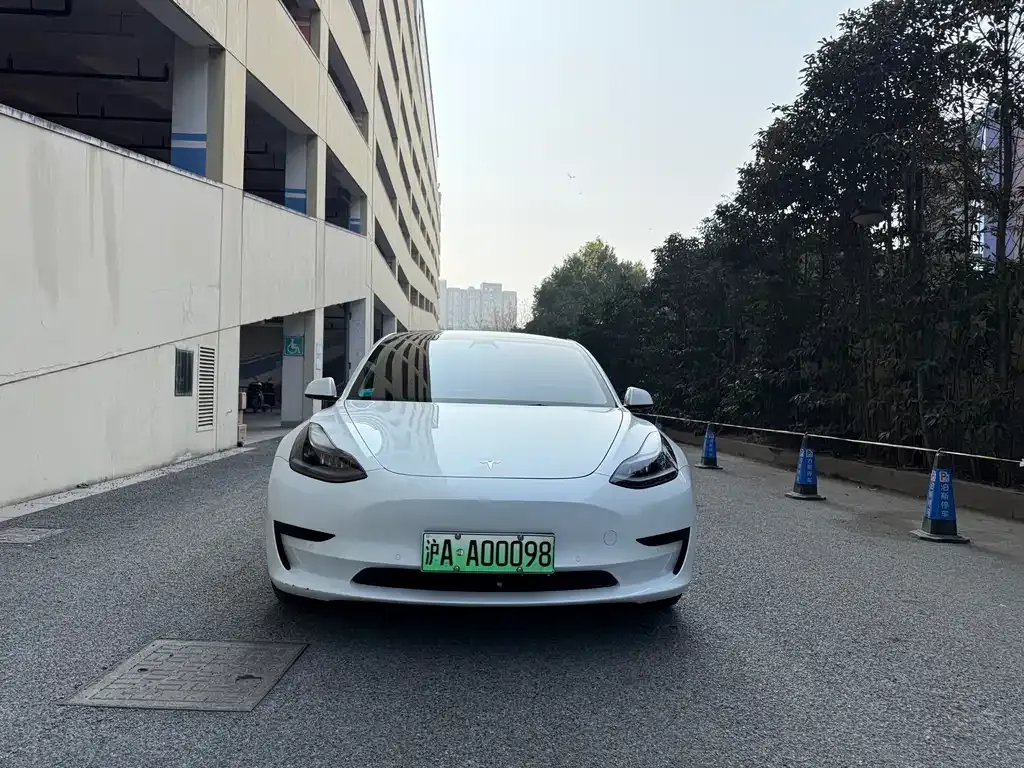 Tesla Model 3 2021 из CN, фото 6