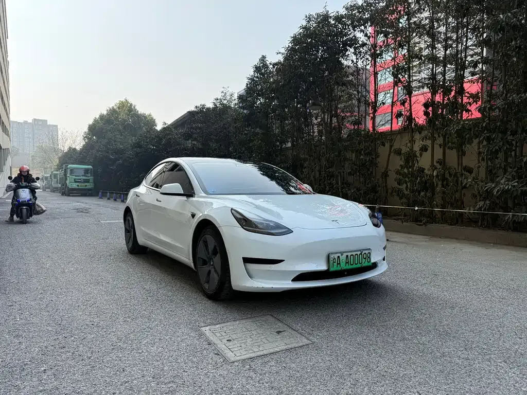 Tesla Model 3 2021 из CN, фото 9