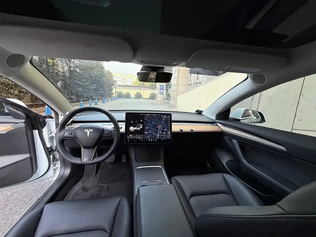 Tesla Model 3 2021 из CN, фото 4