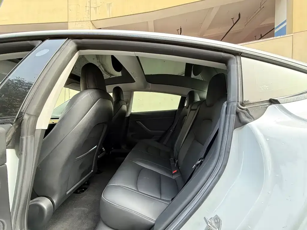 Tesla Model 3 2021 из CN, фото 2