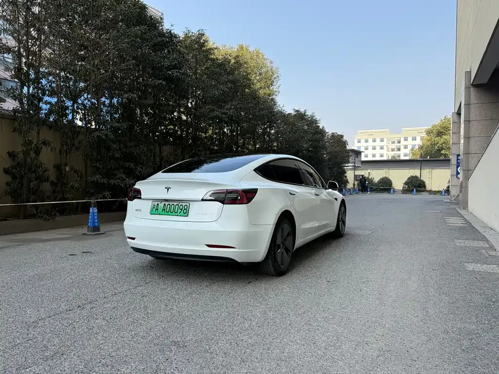 Tesla Model 3 2021 из CN, фото 5