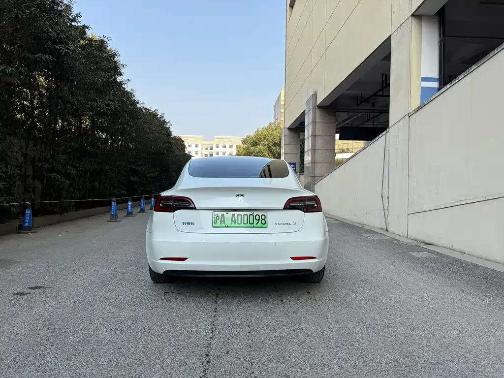 Tesla Model 3 2021 из CN, фото 8