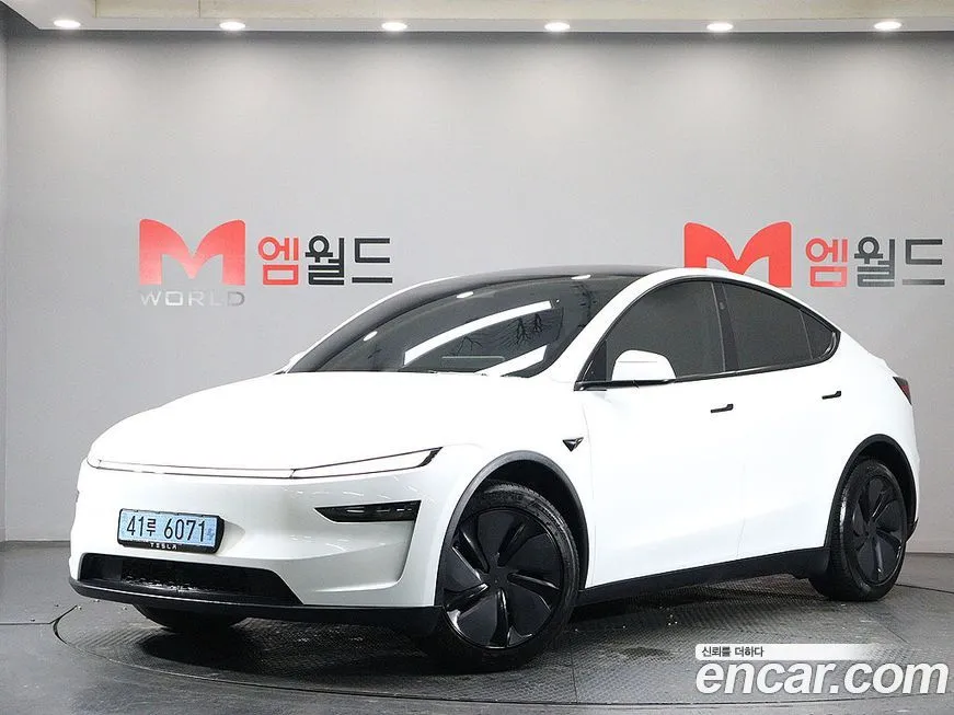 Tesla Model Y 2025 из KR, фото 3