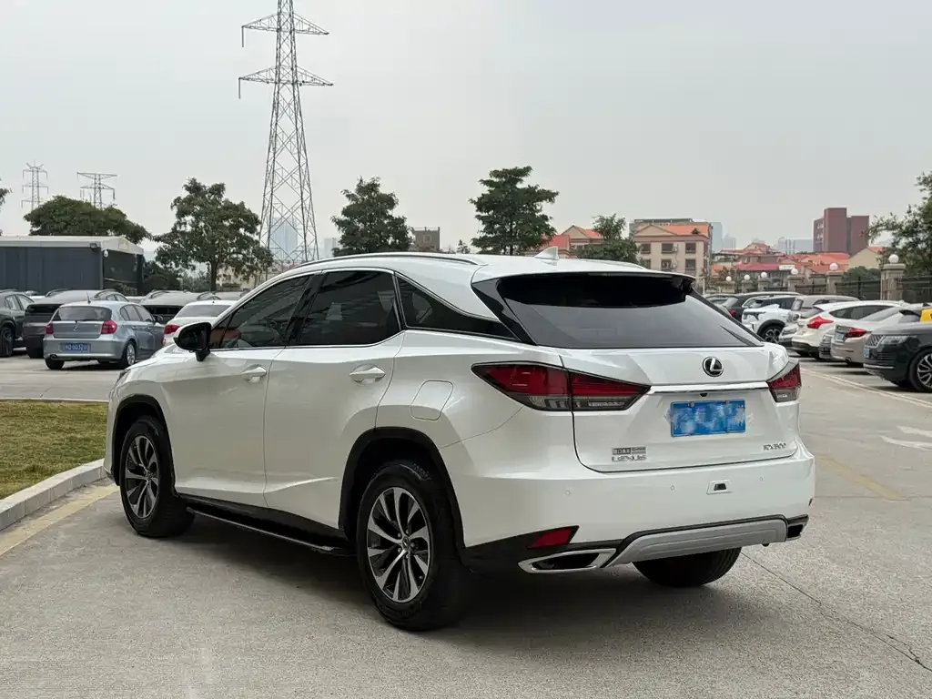Lexus RX 2021 из CN, фото 9