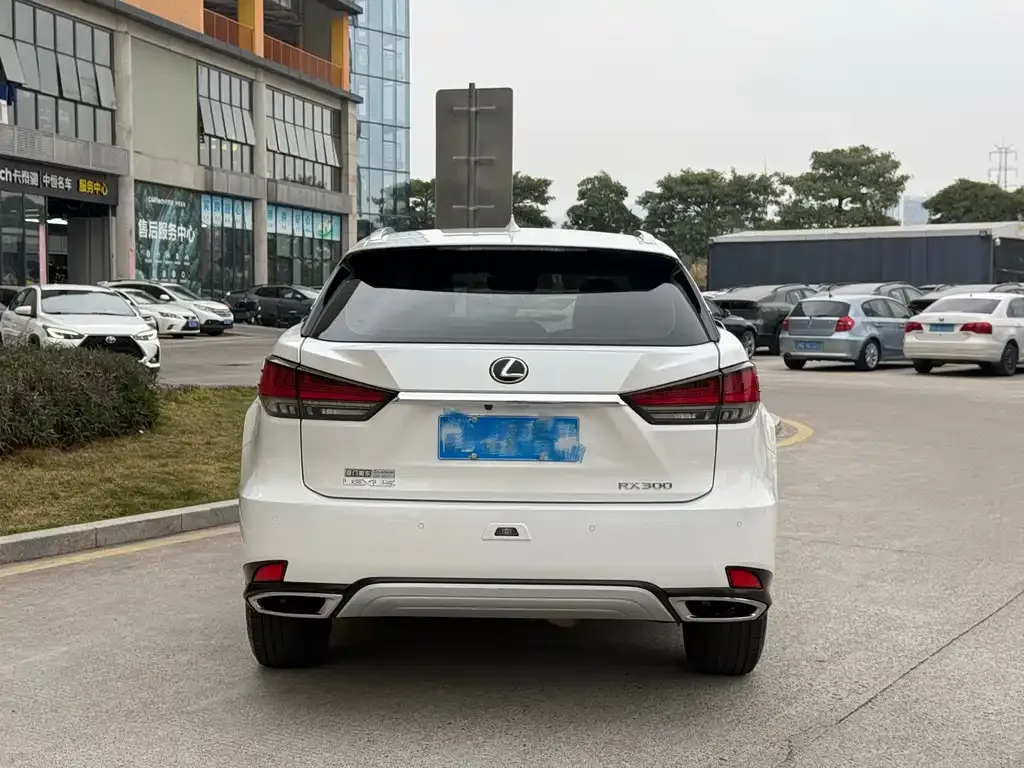 Lexus RX 2021 из CN, фото 8