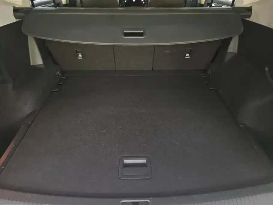 Volkswagen Tiguan L New Energy 2021 из CN, фото 2