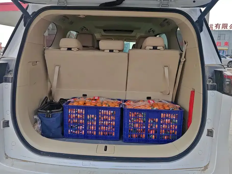 Buick GL8 Hybrid 2025 из CN, фото 3
